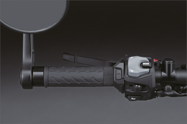 Suzuki GSX-8T Griffheizung